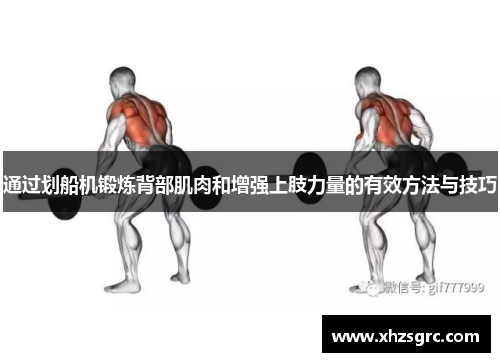 通过划船机锻炼背部肌肉和增强上肢力量的有效方法与技巧