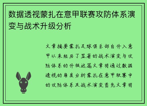 数据透视蒙扎在意甲联赛攻防体系演变与战术升级分析