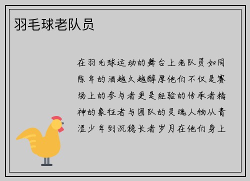 羽毛球老队员